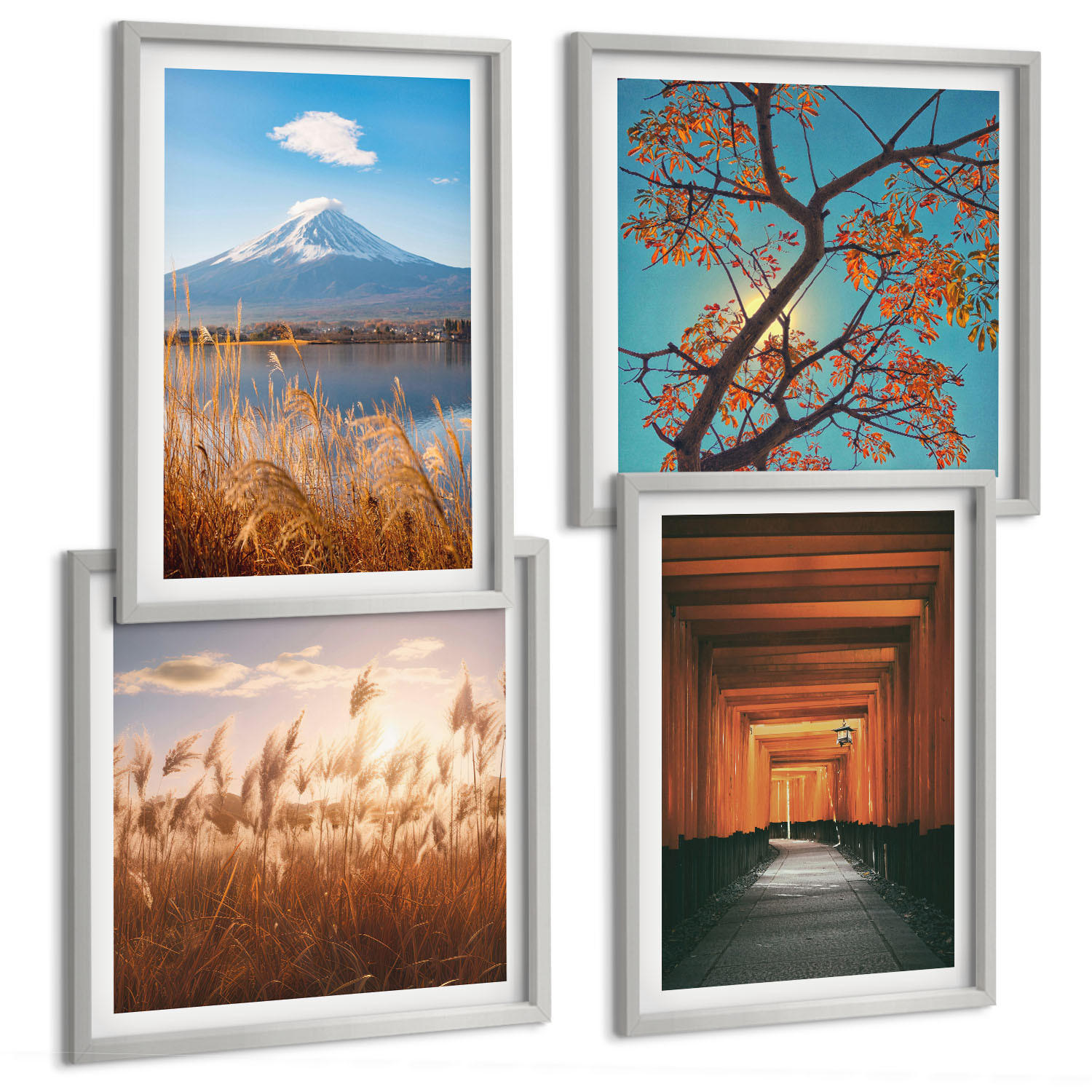 Tulup Bilder Silber 50x50 cm