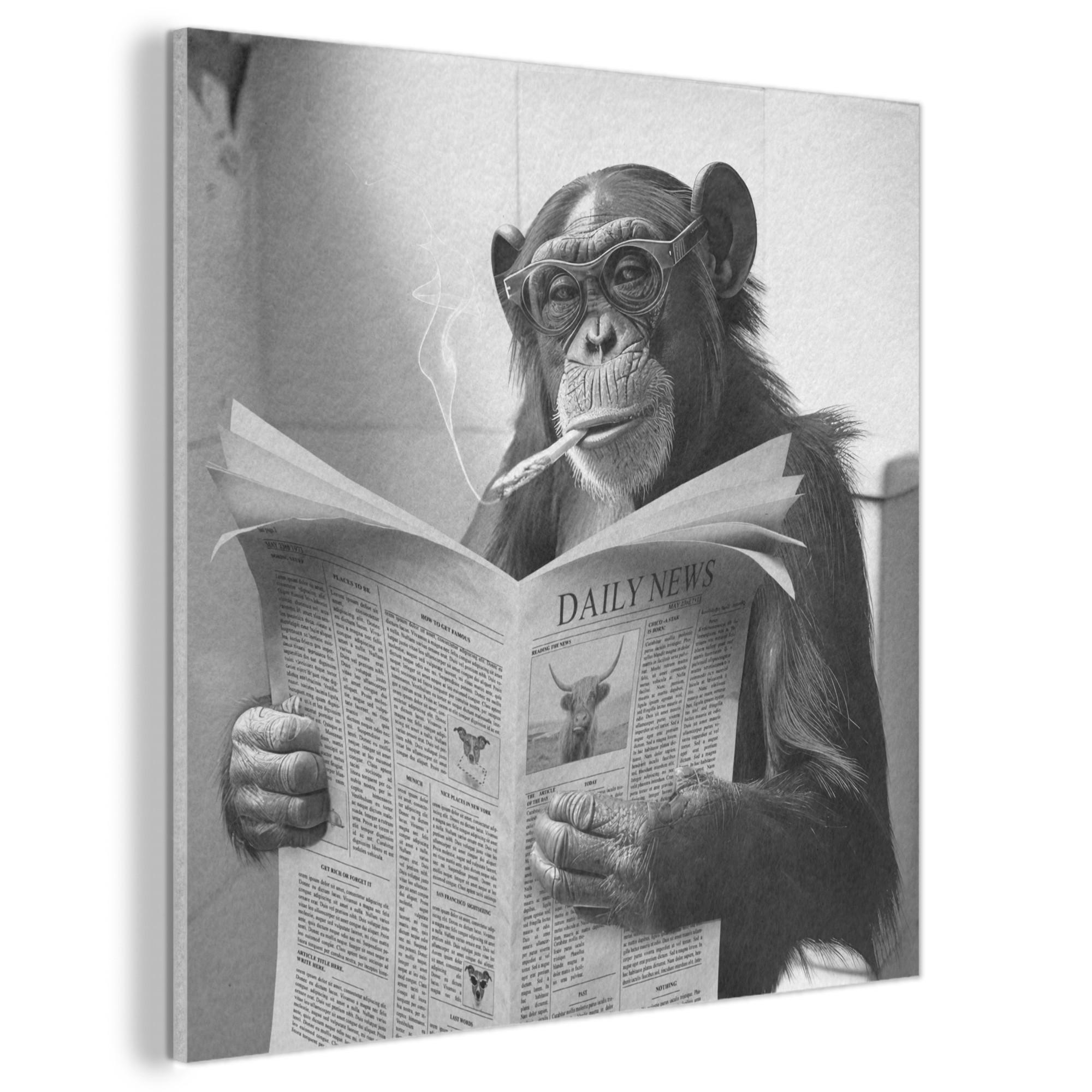 AKUSTIKBILD Affe - WC - Zeitung - Schwarz-Weiß - Humor Akustikpaneele 90x90 cm - Hellgrau, Kunststoff (90/90/0.9cm) - MuchoWow