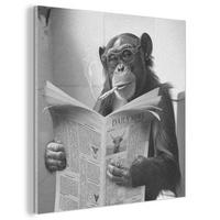 AKUSTIKBILD Affe - WC - Zeitung - Schwarz-Weiß - Humor Akustikpaneele 90x90 cm - Hellgrau, Kunststoff (90/90/0.9cm) - MuchoWow