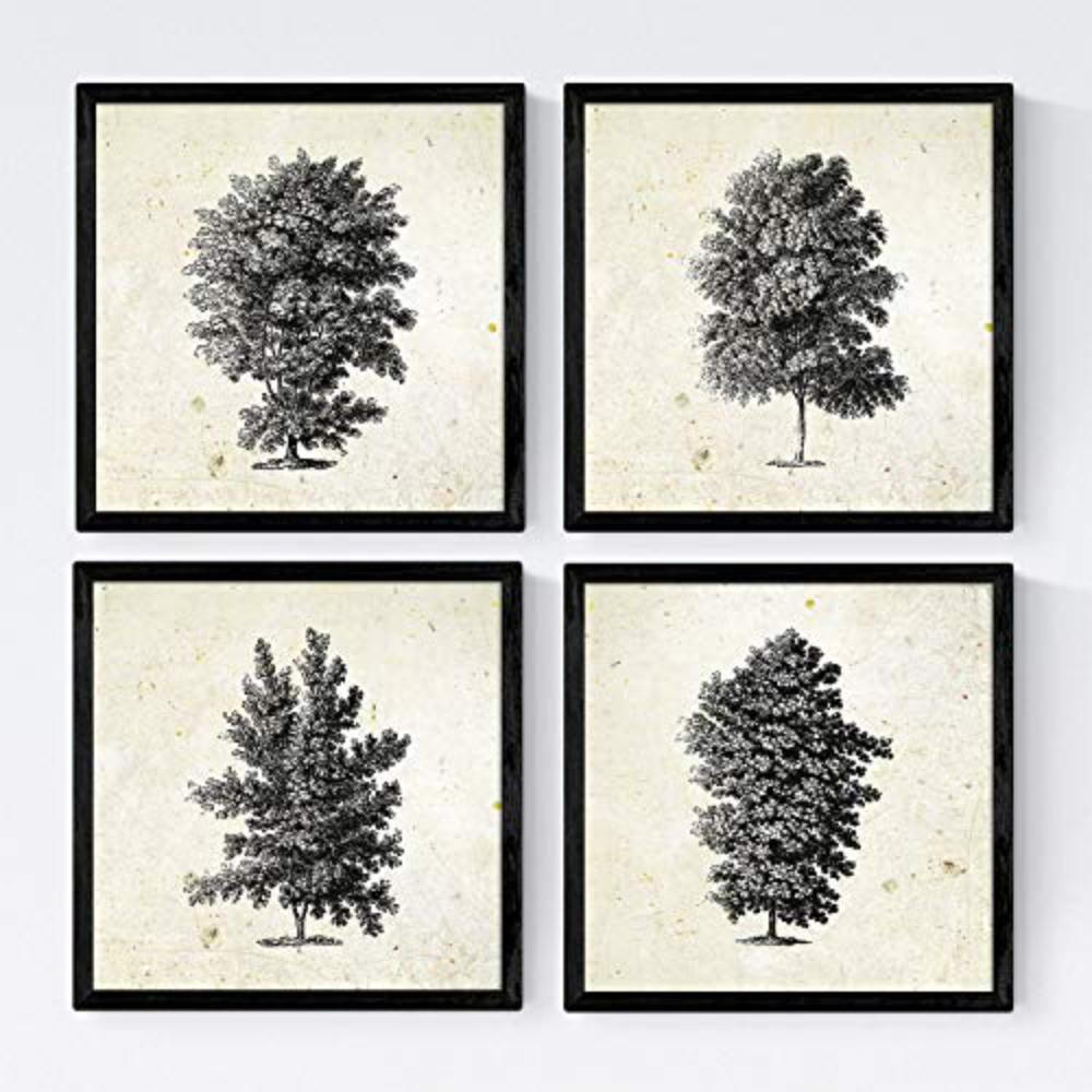 POSTER Set mit 4 Blättern der Hohe Bäume in der 20x20cm Rahmenlos - Klar, Papier (20/3cm) - Nacnic