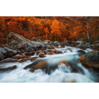 FOTOTAPETE Wasserfall 375 x 270 cm - Orange, Papier (375/270cm) - Sanders & Sanders