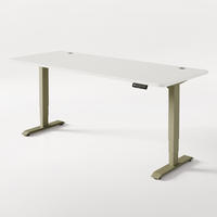 SCHREIBTISCH Elektrisch Höhenverstellbarer HomePro 200x80cm Grün/Weiß mit Memory-Funktion, Anti-Kollisions Technologie - Weiß/Grün, Holzwerkstoff (80/200/62cm) - Desktronic