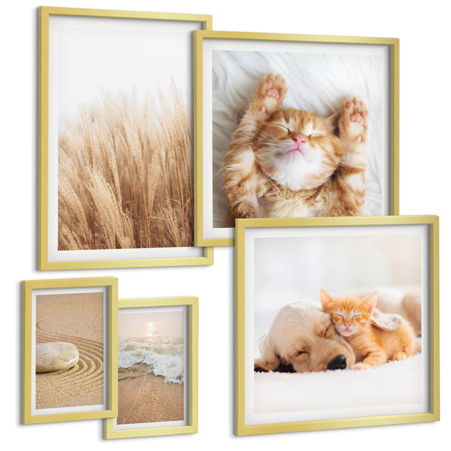 BILDER SET 5er Set - 50x50 cm & 20x30 cm & 40x60 cm Goldrahmen - Niedliche Tiere, Katzen, Hunde, Strand - Goldfarben, Kunststoff (40/60cm) - TULUP