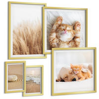 BILDER SET 5er Set - 50x50 cm & 20x30 cm & 40x60 cm Goldrahmen - Niedliche Tiere, Katzen, Hunde, Strand - Goldfarben, Kunststoff (40/60cm) - TULUP