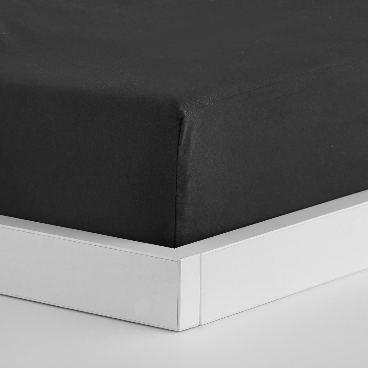 SPANNBETTTUCH Micros - Schwarz, Textil (180/200cm) - home&you