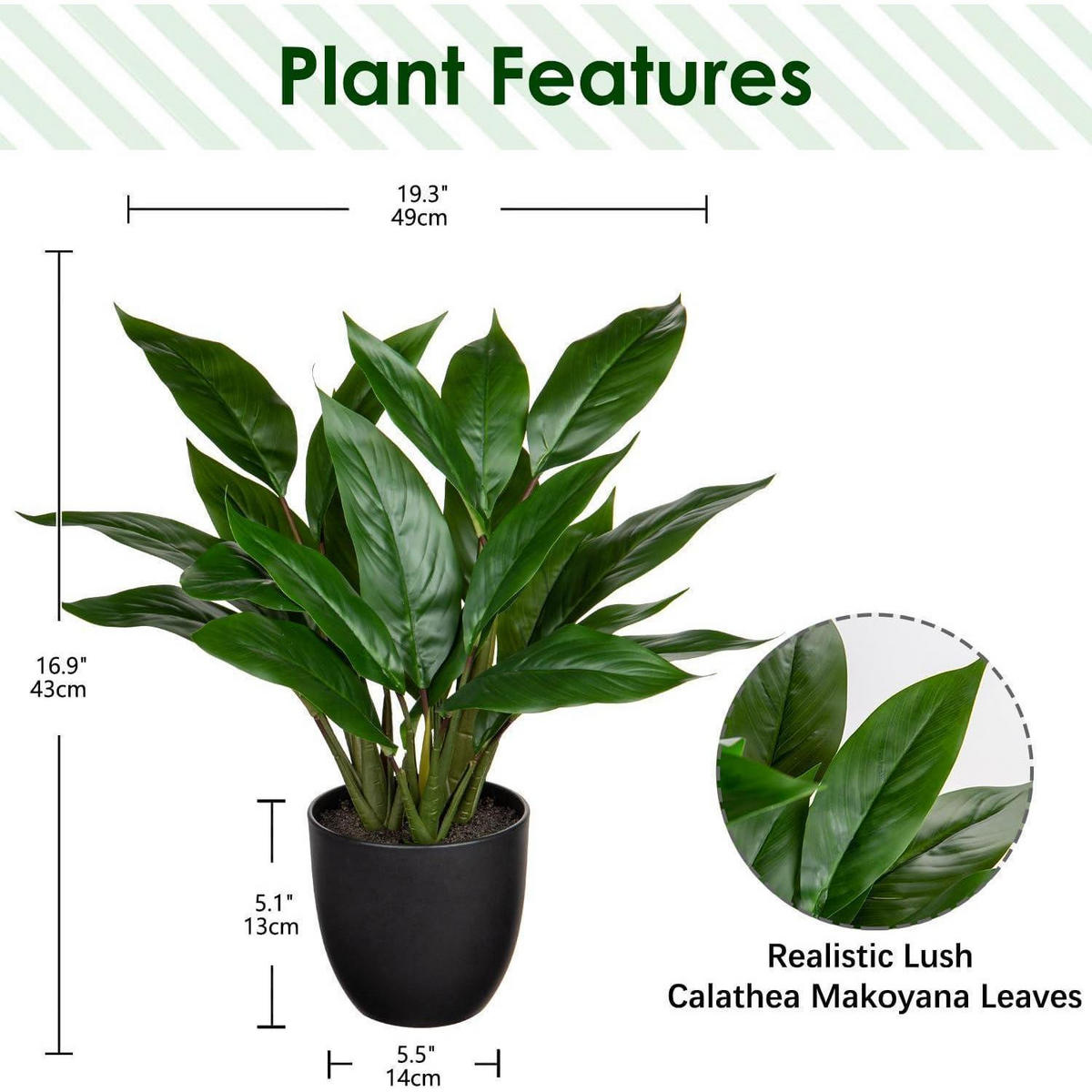 KUNSTPFLANZE Calathea Buschig mit 22 Blättern 43 cm Grün - Grün, Kunststoff (10cm)