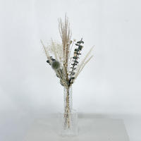 TROCKENBLUMENSTRAUSS Mini Eukalyptus Distel - beige - Beige, Naturmaterialien (30cm) - Lykke & You