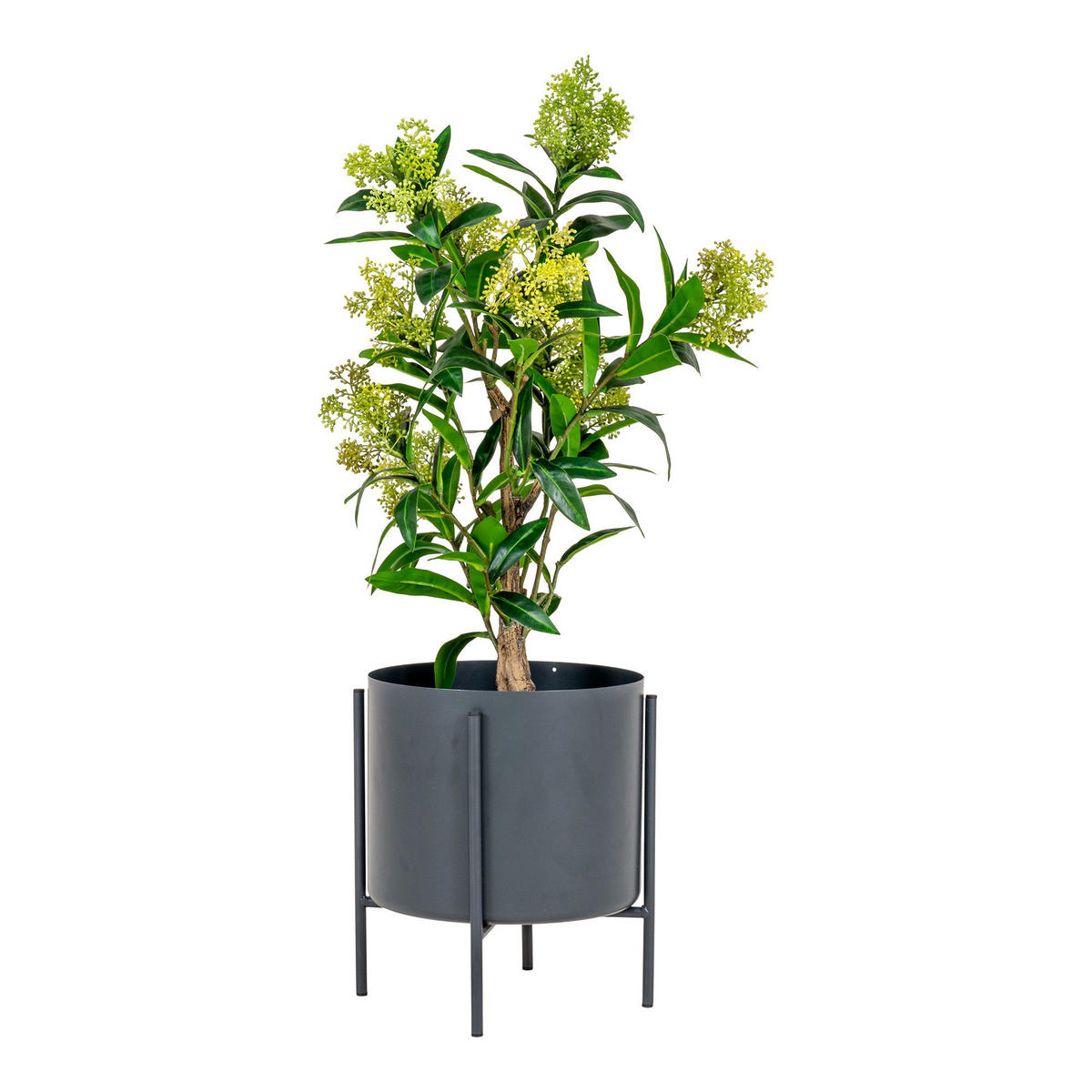 SKIMMIA-BAUM PE-Kunststoff Grün - Grün, Kunststoff (75cm) - tinkaro