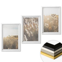 WANDBILDER 3er-Set - 40x60 cm Weißer Rahmen - Landschaftsgrasblumen Wärme - Weiß, Kunststoff (40/60cm) - ArtPrintCave