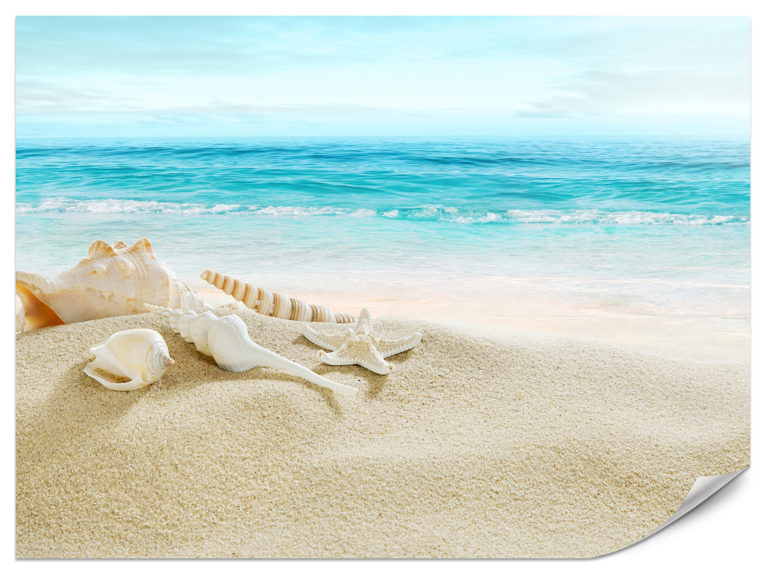 FOTOTAPETE für Badezimmer Muscheln Strand Sand Wellen Meer 150x105 - Beige/Weiß, Papier (150/105cm) - Muralo