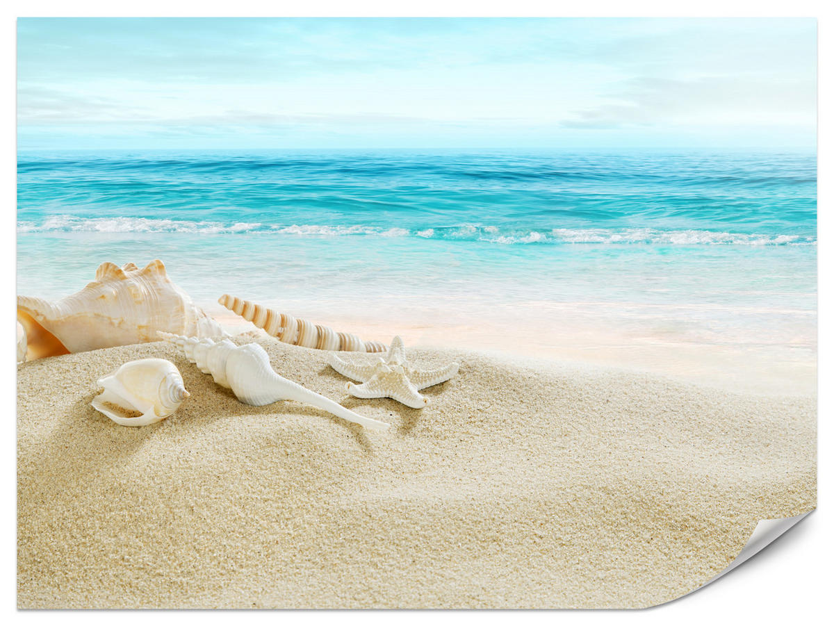 FOTOTAPETE für Badezimmer Muscheln Strand Sand Wellen Meer 150x105 - Beige/Weiß, Papier (150/105cm) - Muralo