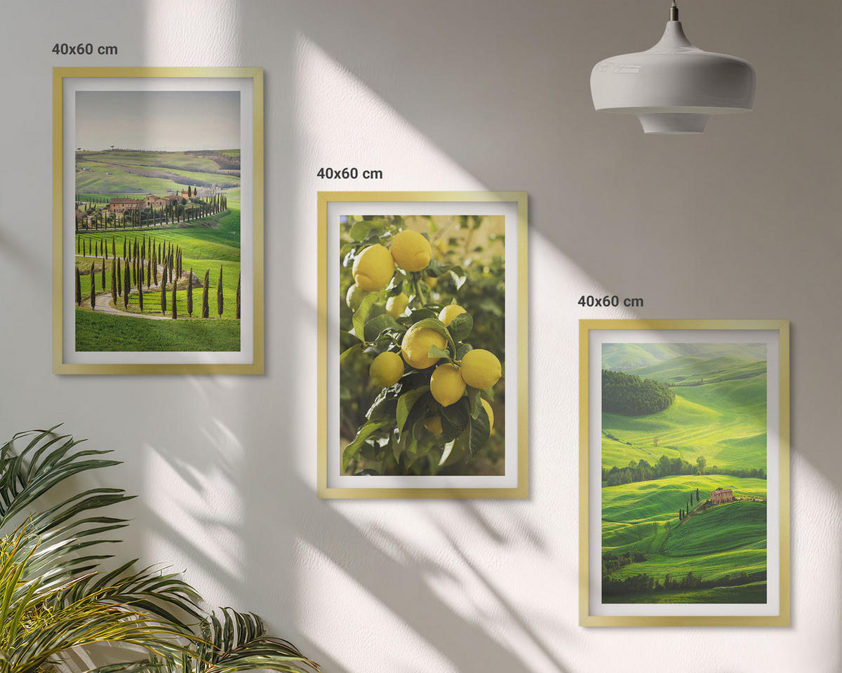 BILDER SET 3er Set - 40x60 cm Goldrahmen - Italienische Zitrusfrüchte und Hügel - Goldfarben, Kunststoff (40/60cm) - TULUP
