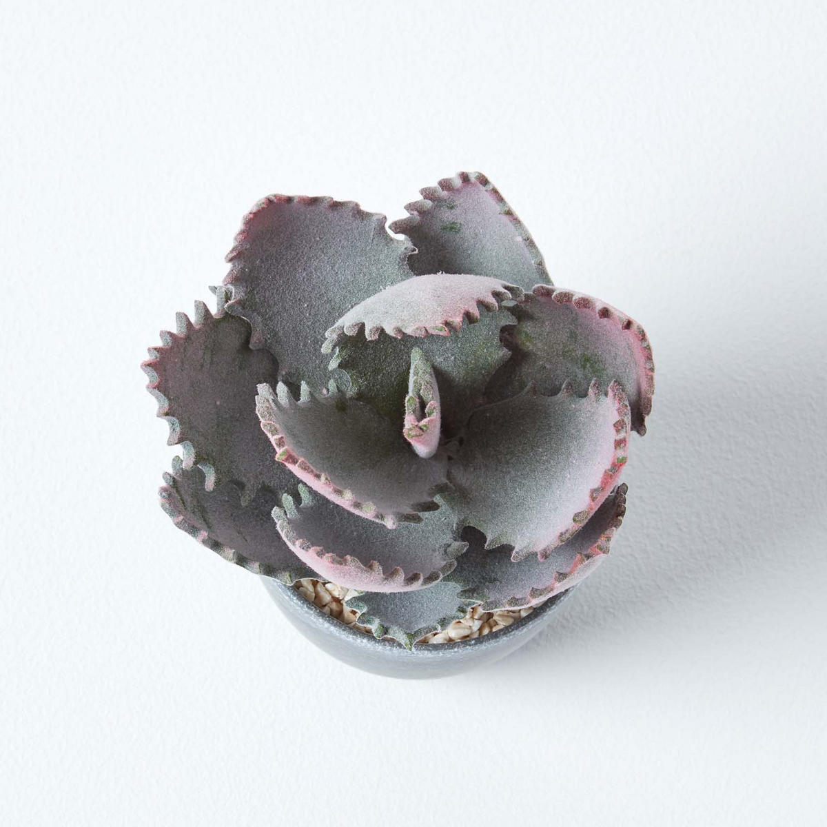 KUNSTPFLANZE Aloe vera im Deko-Topf, 21 cm - Grün, Kunststoff (21cm) - Homescapes