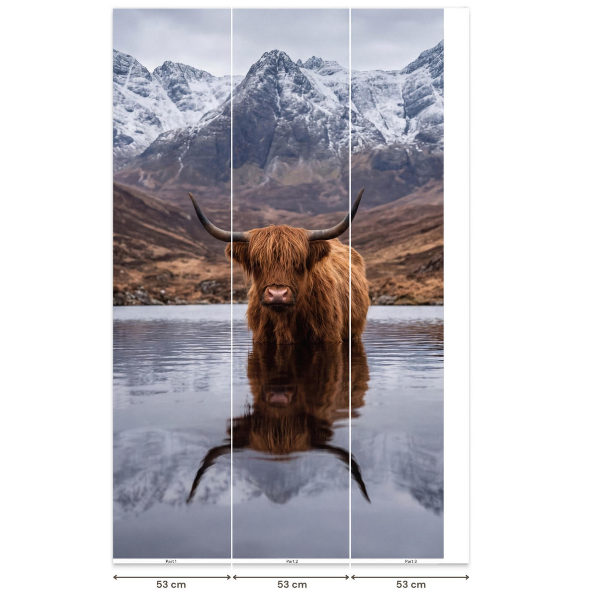 TAPETE - Schottischer Hochländer - Braun - Wasser - 160x260 cm - Braun, Papier (160/260cm) - OnlyWow