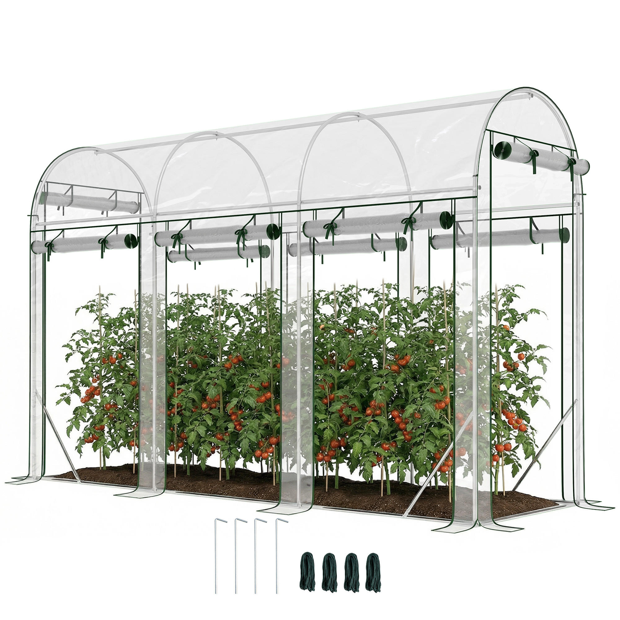 GEWÄCHSHAUS DE-12066 8 Rolltüren Transparent - Transparent, Metall (100/197/295cm) - ComfortXL