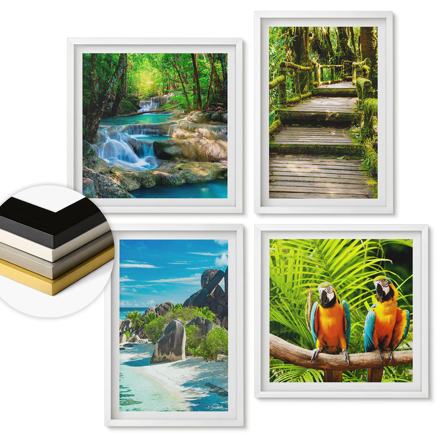 WANDBILDER 4er-Set - 50x50 cm & 40x60 cm Weißer Rahmen - Tropischer Wald Papageienwasserfall - Weiß, Kunststoff (50/50cm) - ArtPrintCave