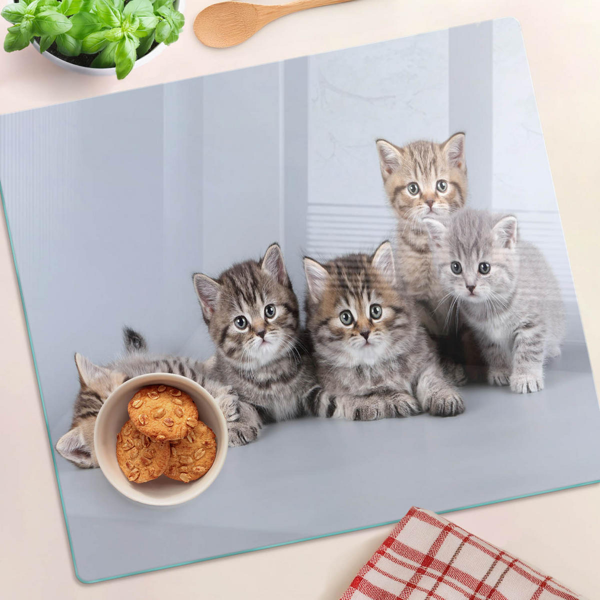 GLASPLATTE 60x52 cm Fünf Katzen - Grau/Grün, Glas (60/52cm) - TULUP