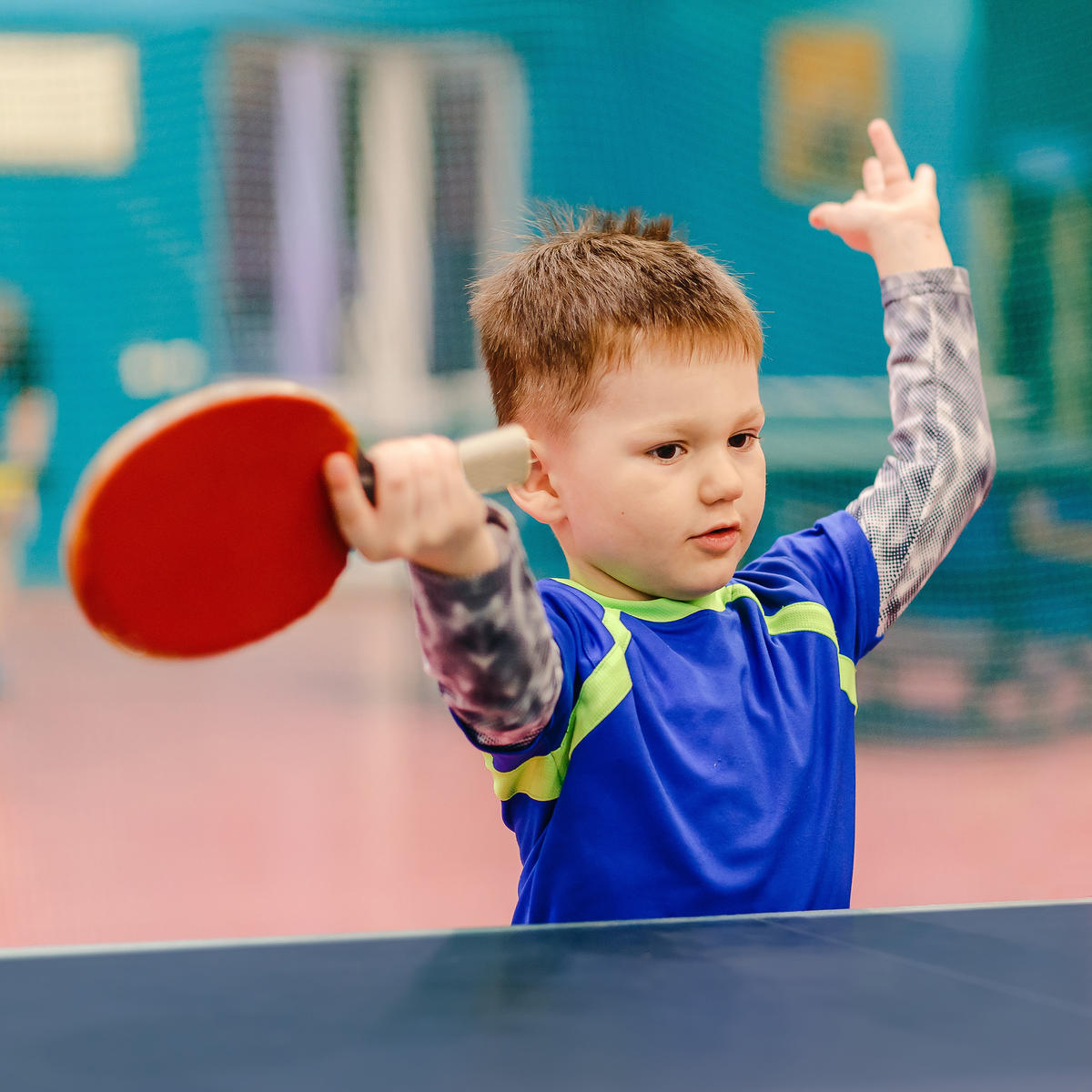 TISCHTENNISPLATTE - Multicolor, Holzwerkstoff/Metall (151/67.5cm) - Relaxdays