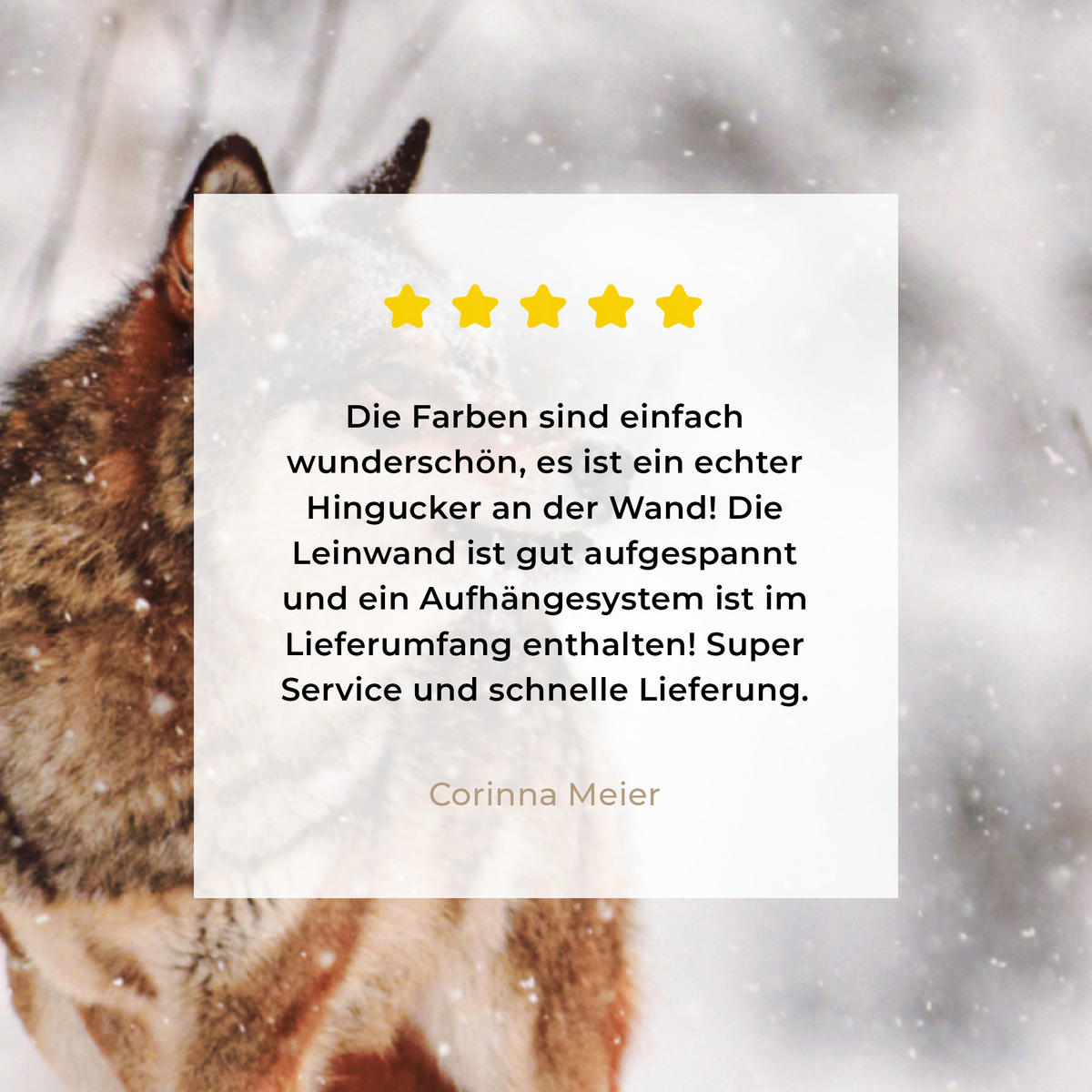 LEINWANDBILD Wolf - Winter - Schnee - Natur - Tiere 50x50 cm - Haselnussfarben, Textil (50/50cm) - MuchoWow
