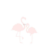 FOTOTAPETE Flamingos 186 x 279 cm - Pink, Papier (186/279cm) - ESTAhome