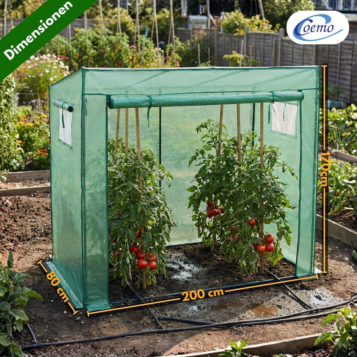 GEWÄCHSHAUS für Tomaten 200/80/170 cm - Grün, Kunststoff (80/170/200cm) - Coemo