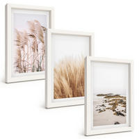 BILDER SET 3er Set - 20x30 cm Weißer Rahmen - Pampasgrasfelder und ein Boho-Strand - Weiß, Kunststoff (20/30cm) - TULUP