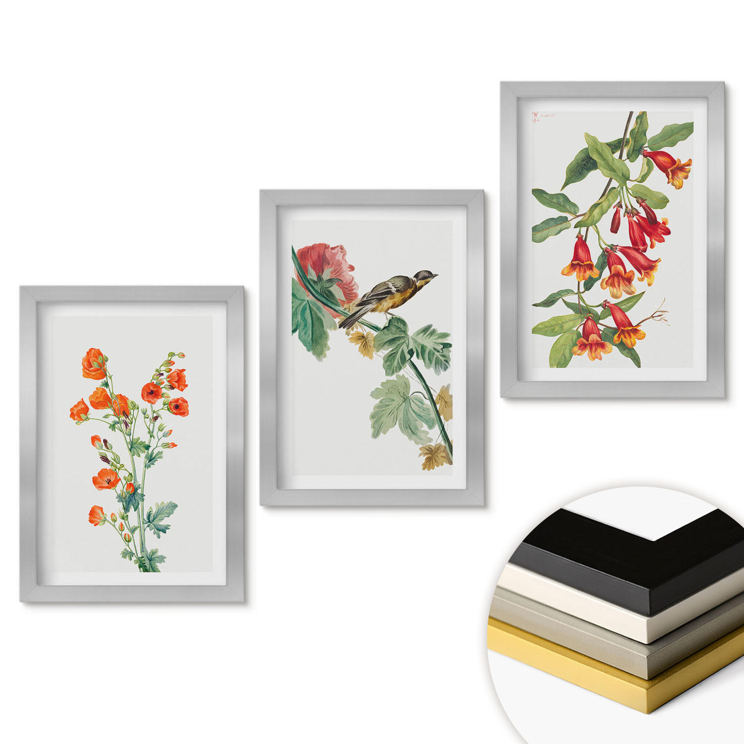 WANDBILDER 3er Set - 20x30 cm Silberner Rahmen - Gemalte Blumen und ein Vogel - Silberfarben, Kunststoff (20/30cm) - ArtPrintCave