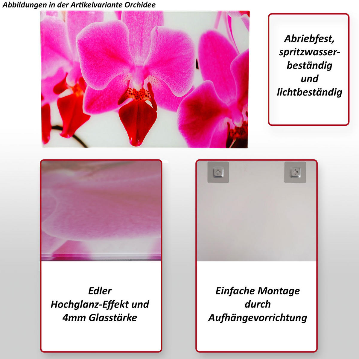 GLASBILD ORCHIDEE Multicolor - Multicolor, Glas (60/40cm) - MCW