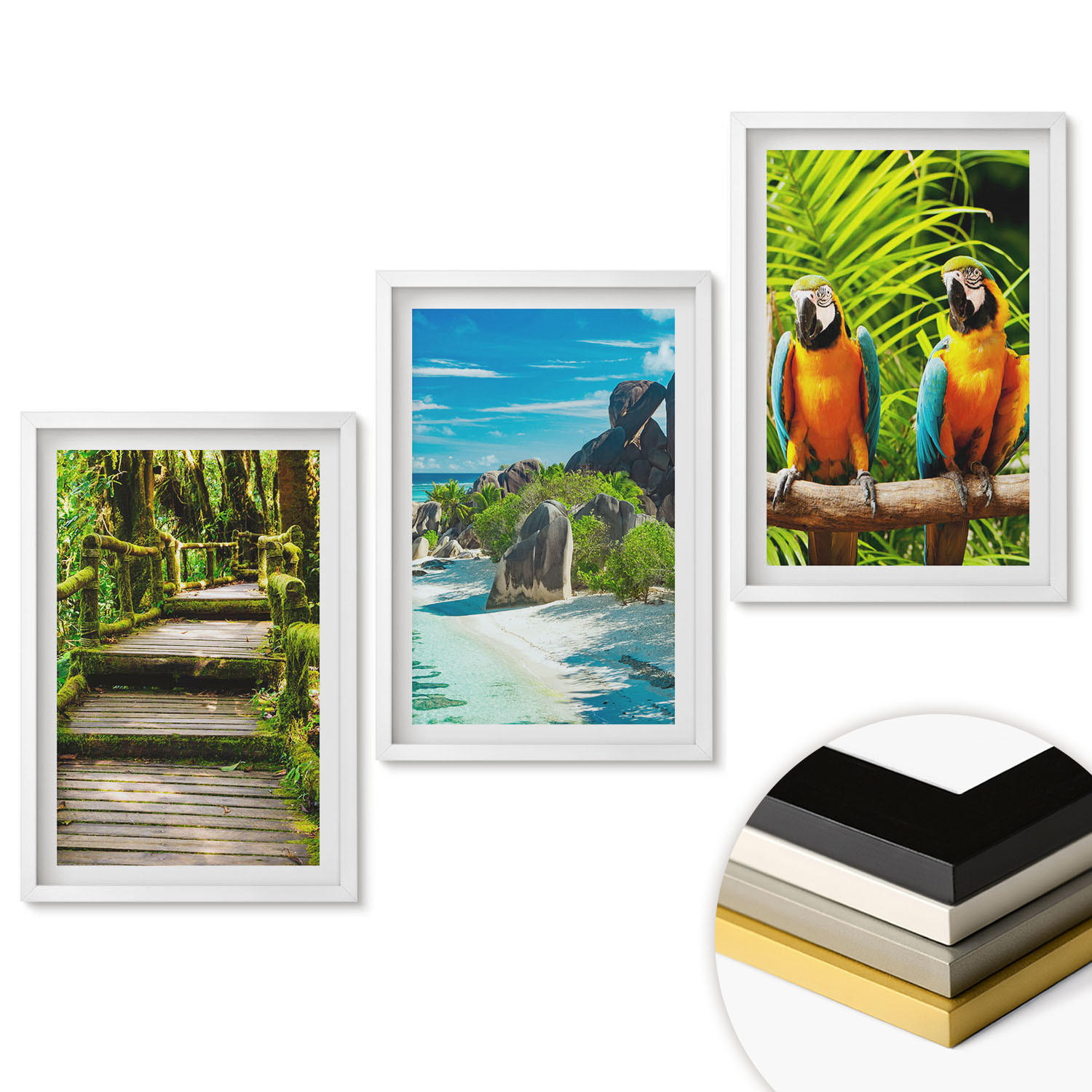 WANDBILDER 3er-Set - 40x60 cm Weißer Rahmen - Tropischer Wald Papageienwasserfall - Weiß, Kunststoff (40/60cm) - ArtPrintCave