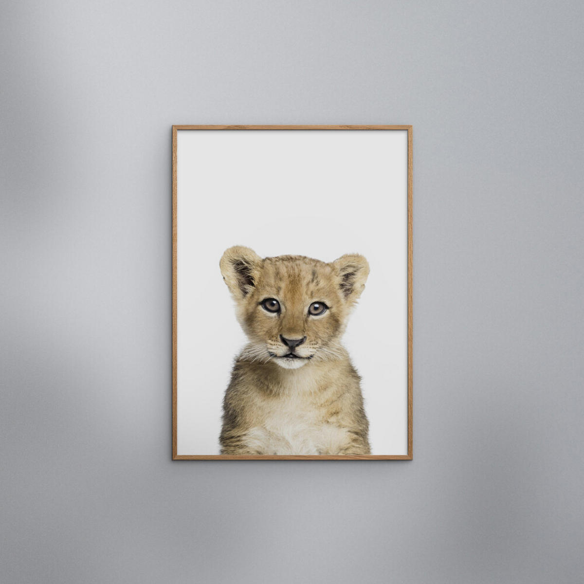 POSTER mit Rahmen Kathrin Pienaar - Baby Lion - Eichefarben/Weiß, Holz/Papier (30/40cm) - Poster&Frame