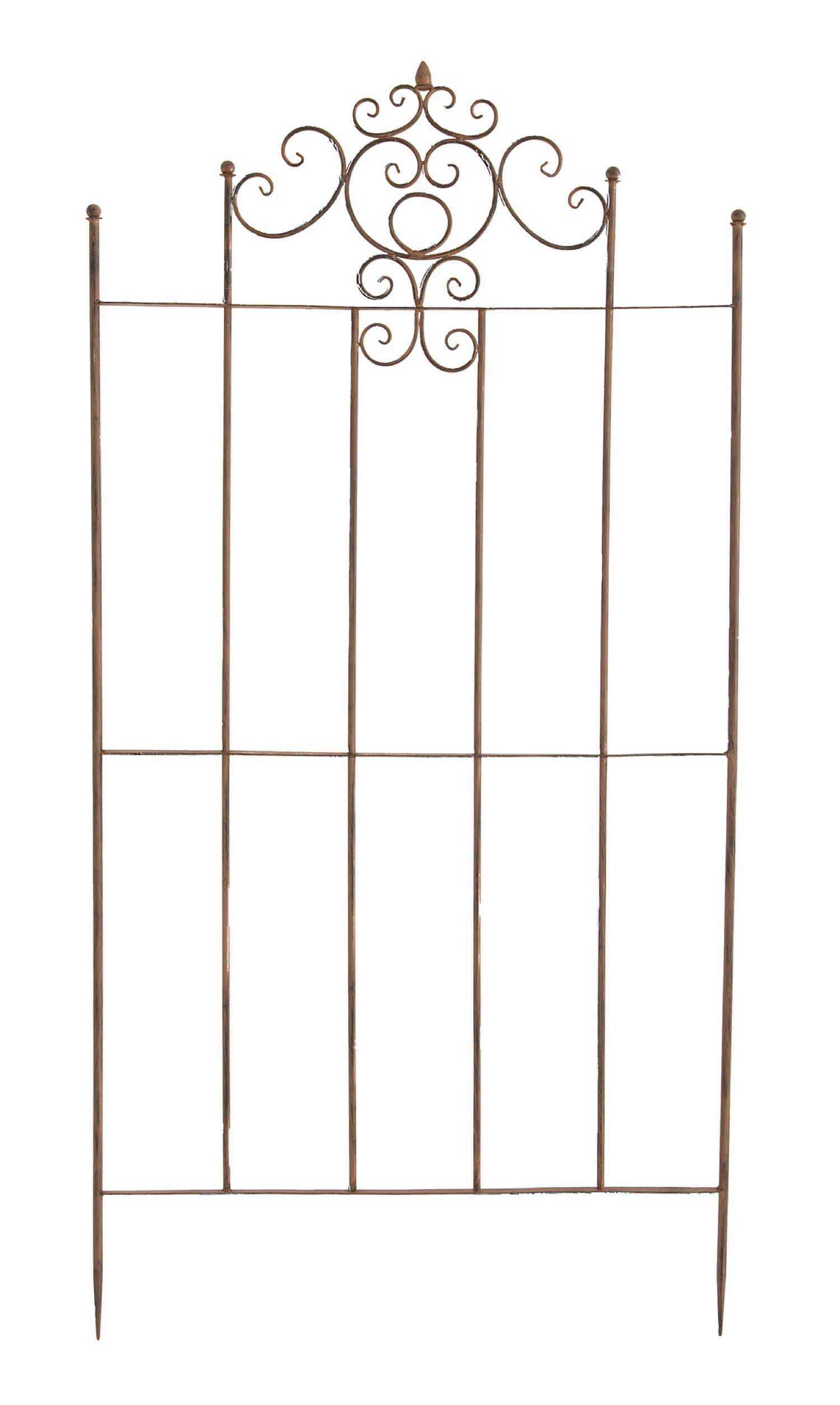 RANKGITTER Paul antik braun - Braun, Metall (85.5/170/2cm) - TPFGarden