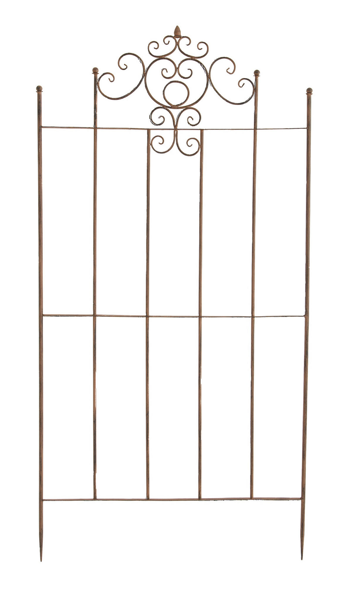RANKGITTER Paul antik braun - Braun, Metall (85.5/170/2cm) - TPFGarden