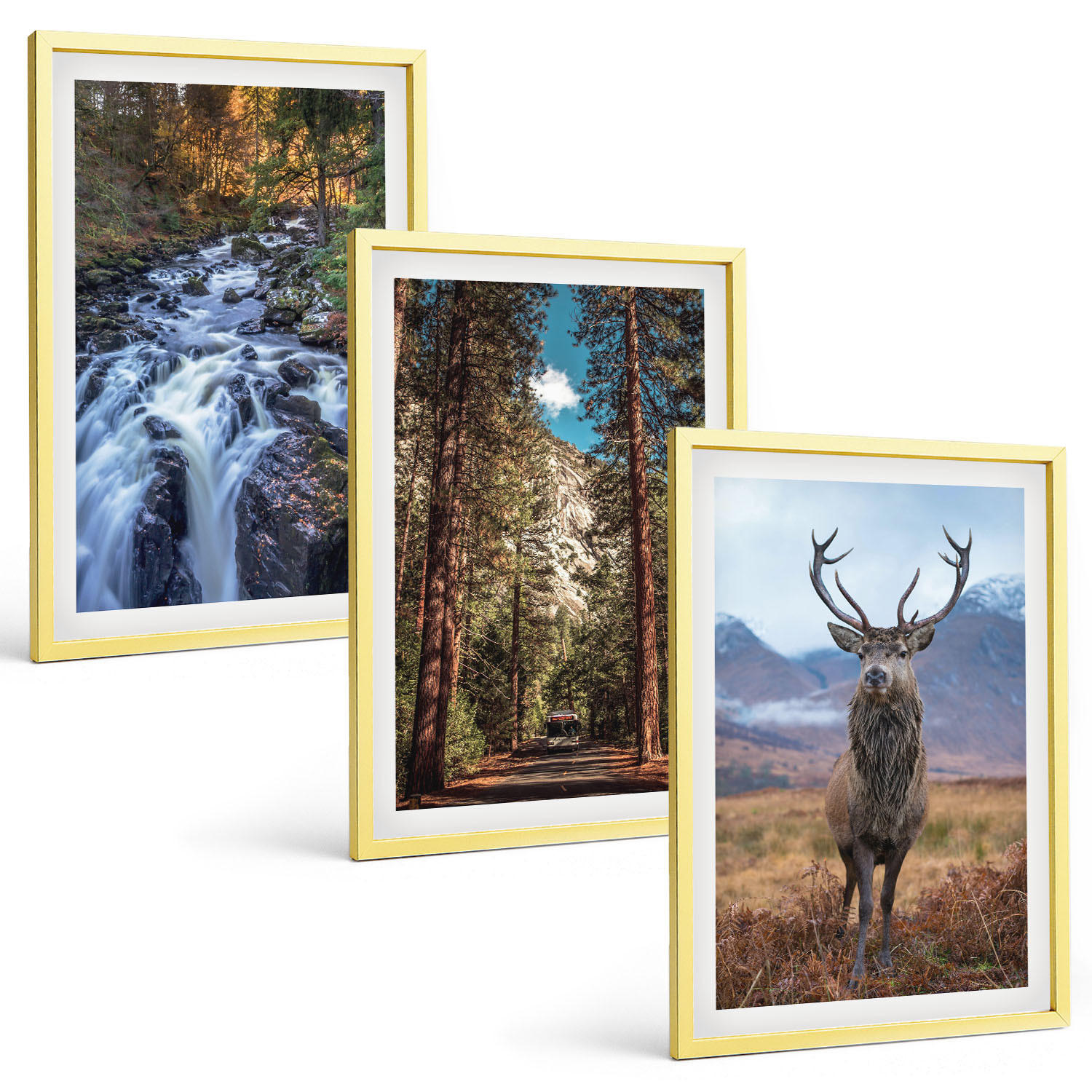 BILDER SET 3er Set - 40x60 cm Goldrahmen - Wasserfall Wald Berge Hirsch Natur - Goldfarben, Kunststoff (40/60cm) - TULUP