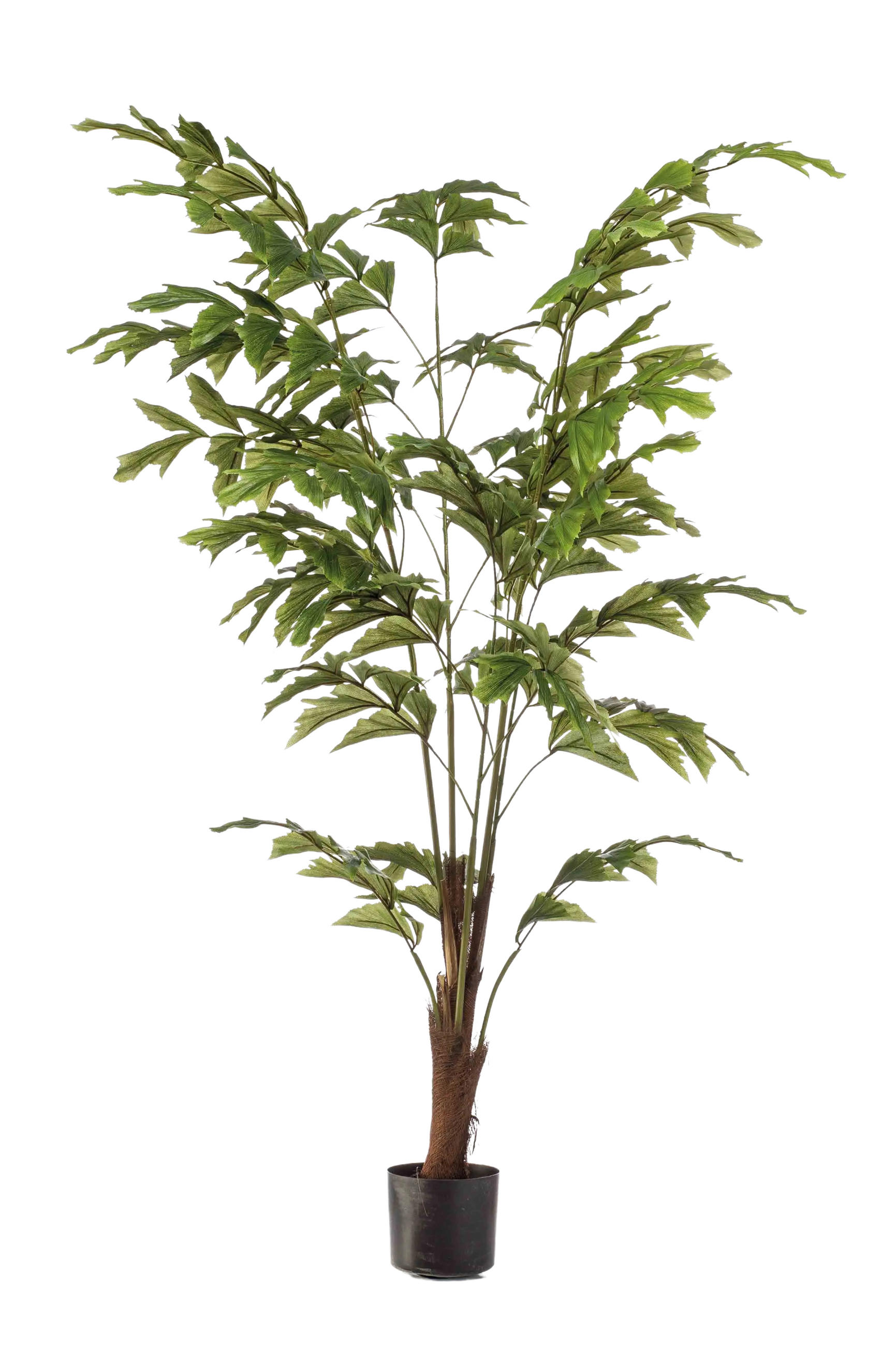 KÜNSTLICHE Fischschwanzpalme - Nayla 155 cm - Grün, Kunststoff (155cm) - Emerald