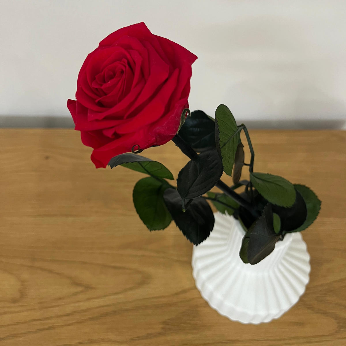 KONSERVIERTE/GEFRIERGETROCKNETE, Rosen: Zeitlose Eleganz für die Ewigkeit - weiß / 30 cm - Weiß, Naturmaterialien (30cm) - Lykke & You