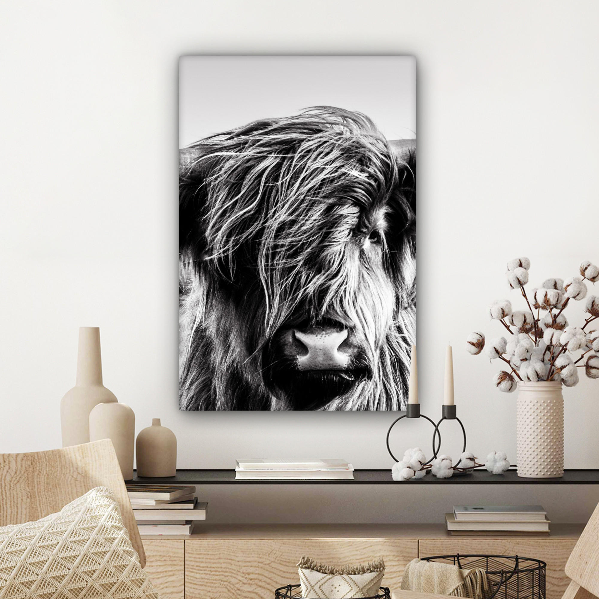 LEINWANDBILD Kuh - Schottischer Hochländer - Schwarz - Weiß - Tier - Natur - Wildtiere 60x90 cm - Schwarz, Textil (60/90cm) - MuchoWow