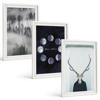 BILDER SET 3er Set - 40x60 cm Weißer Rahmen - Waldlandschaft, Nebel, Mond, Hirschschädel - Weiß, Kunststoff (40/60cm) - TULUP