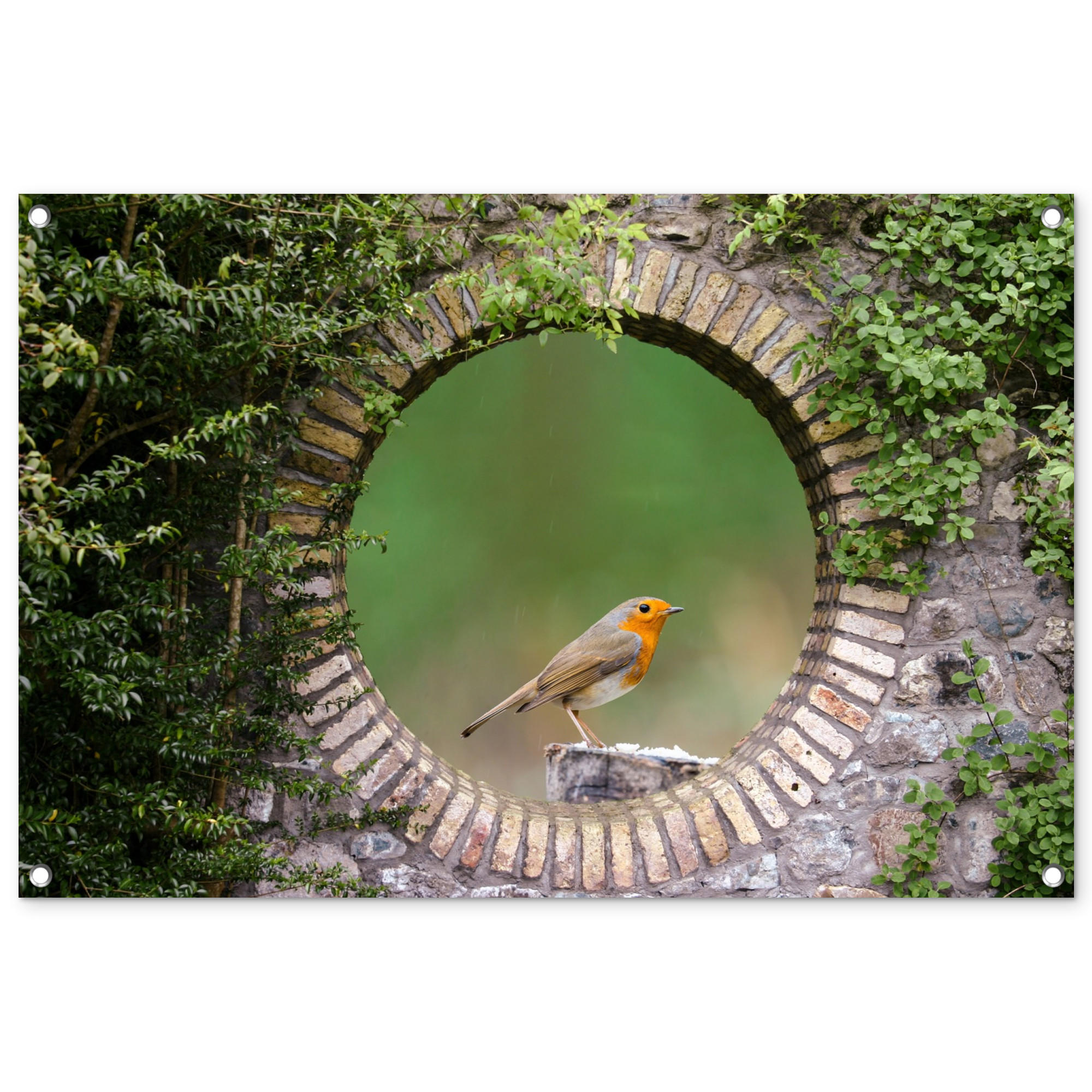 OnlyWow ZAHRADNÍ PLAKÁT Pták - průhled - Robin 90x60 cm