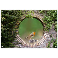 ZAHRADNÍ PLAKÁT Pták - průhled - Robin 90x60 cm - zelená barva, plast (90/60/0.2cm) - OnlyWow