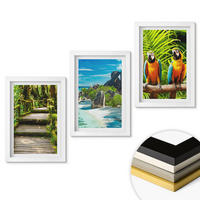WANDBILDER 3er-Set - 20x30 cm Weißer Rahmen - Tropischer Wald Papageienwasserfall - Weiß, Kunststoff (20/30cm) - ArtPrintCave