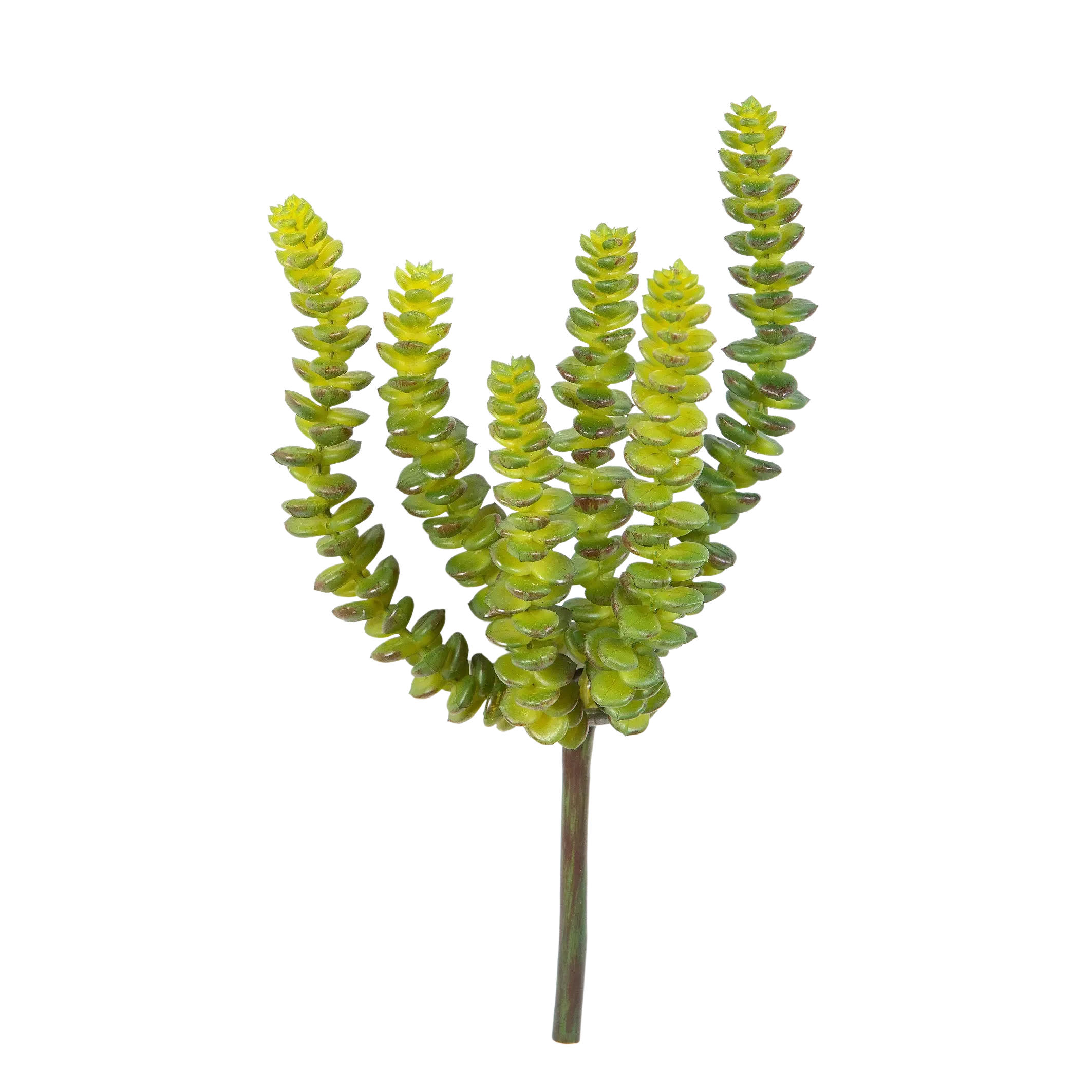 KUNSTPFLANZE Künstliche Crassula - Hedi 17 cm - Multicolor, Kunststoff (17cm) - aplanta