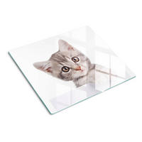 GLASPLATTE 60x52 cm Graue Katze - Dunkelgrau/Grau, Glas (60/52cm) - TULUP