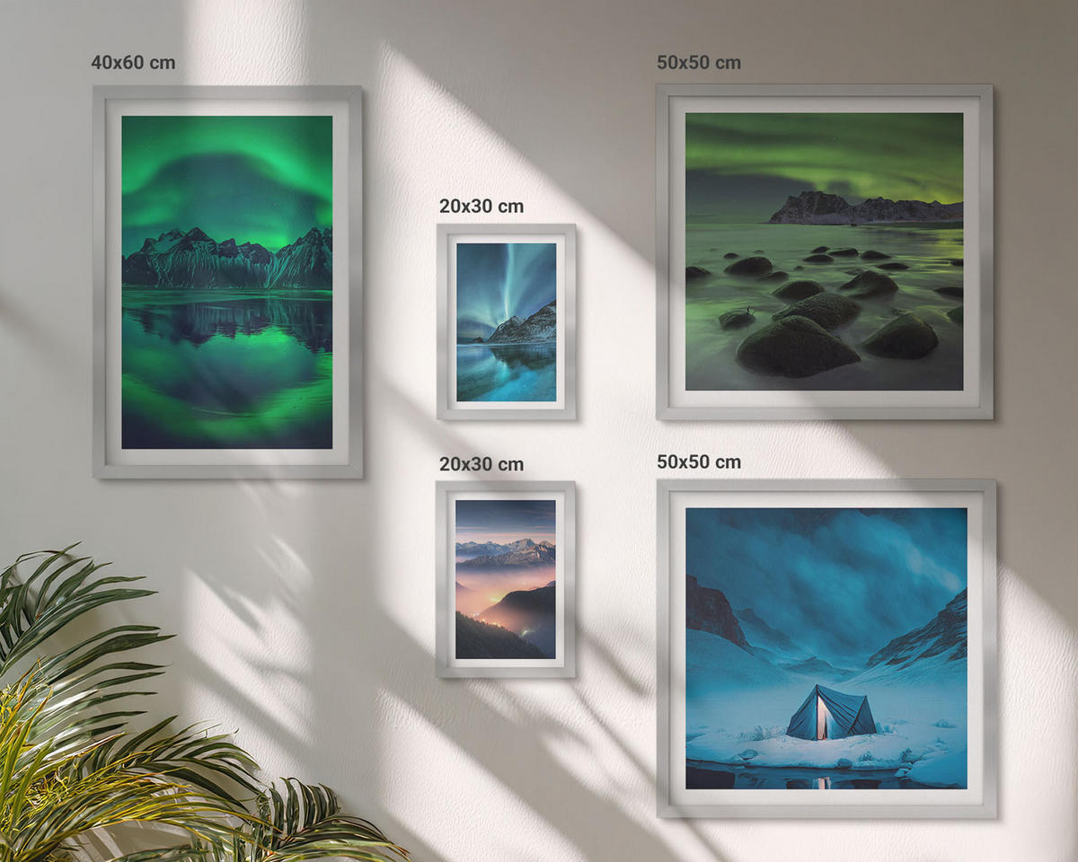 WANDBILDER 5er Set - 50x50 cm & 20x30 cm & 40x60 cm Silberner Rahmen - Stilvolle Pflanzenmuster und Geometrie - Silberfarben, Kunststoff (40/60cm) - ArtPrintCave