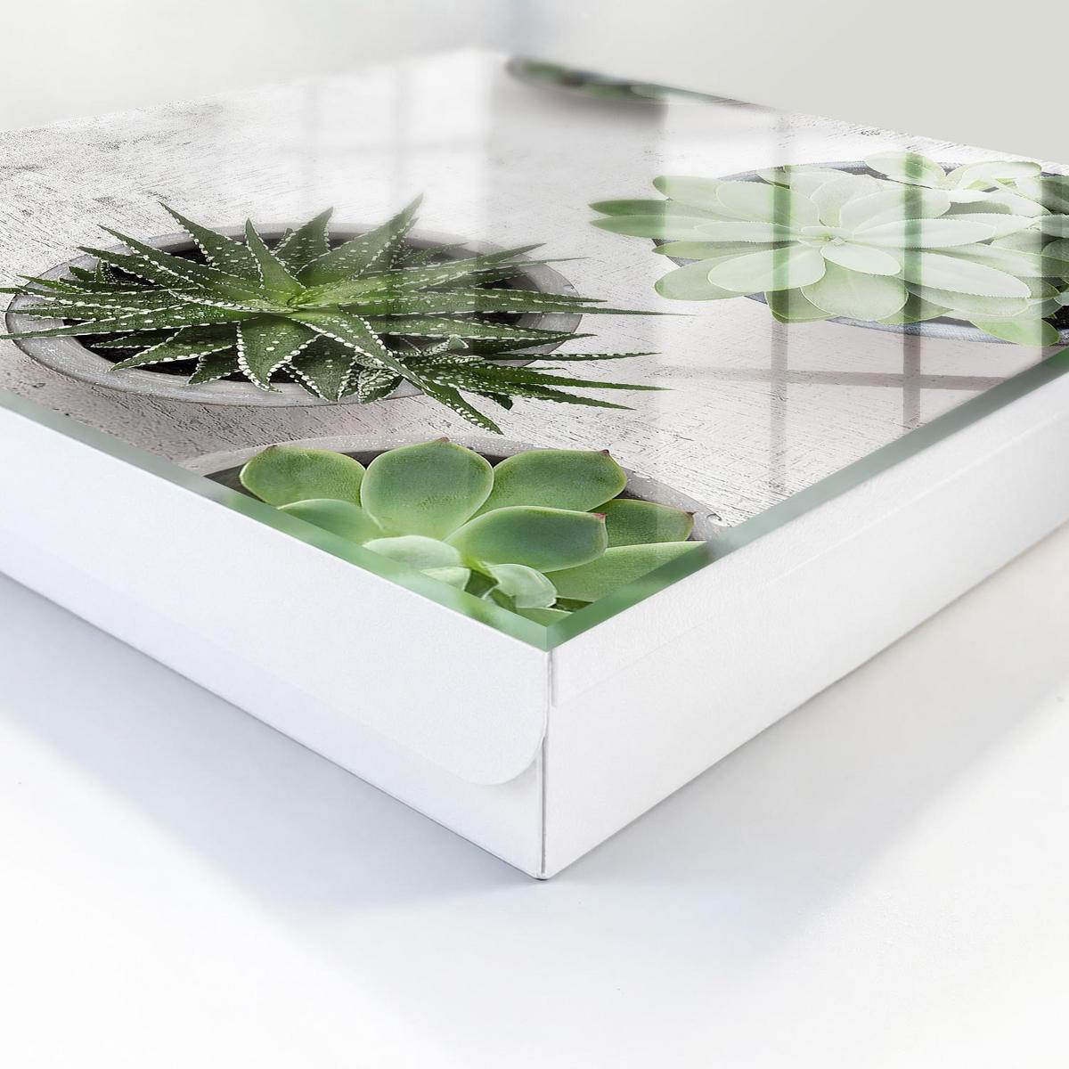 SCHLÜSSELBOX Weiß 30x30 cm – Türöffnung nach rechts - Grüne Sukkulenten - Grün, Metall (30/30/5cm) - TULUP