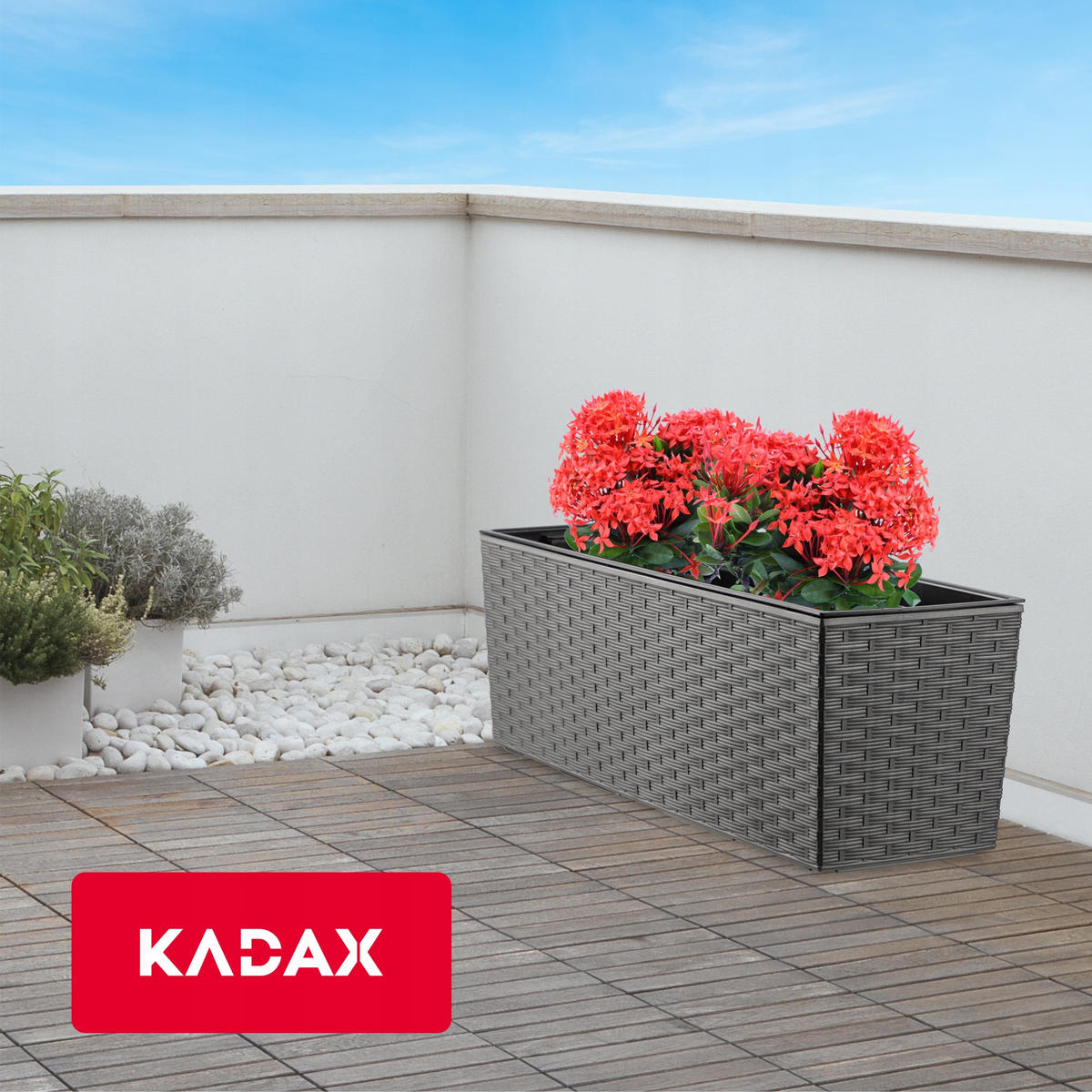 BLUMENKASTEN mit Einsatz 56 cm, Graphit - Graphitfarben, Kunststoff - KADAX