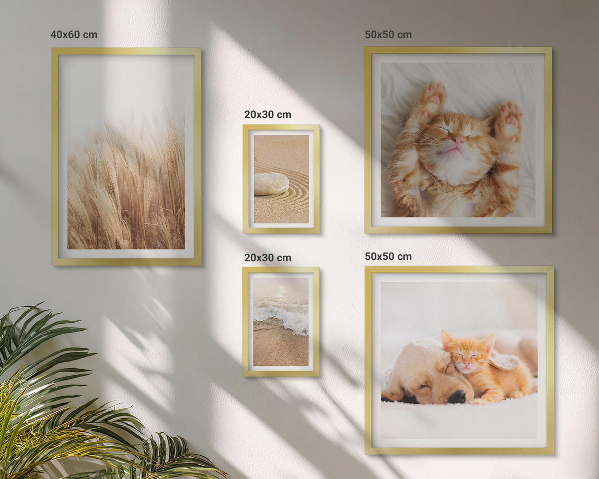BILDER SET 5er Set - 50x50 cm & 20x30 cm & 40x60 cm Goldrahmen - Niedliche Tiere, Katzen, Hunde, Strand - Goldfarben, Kunststoff (40/60cm) - TULUP