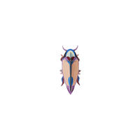 WANDDEKO Eleganter Käfer 7/16 cm - Multicolor, Wellpappe (7/16/7cm) - KUNSTLOFT