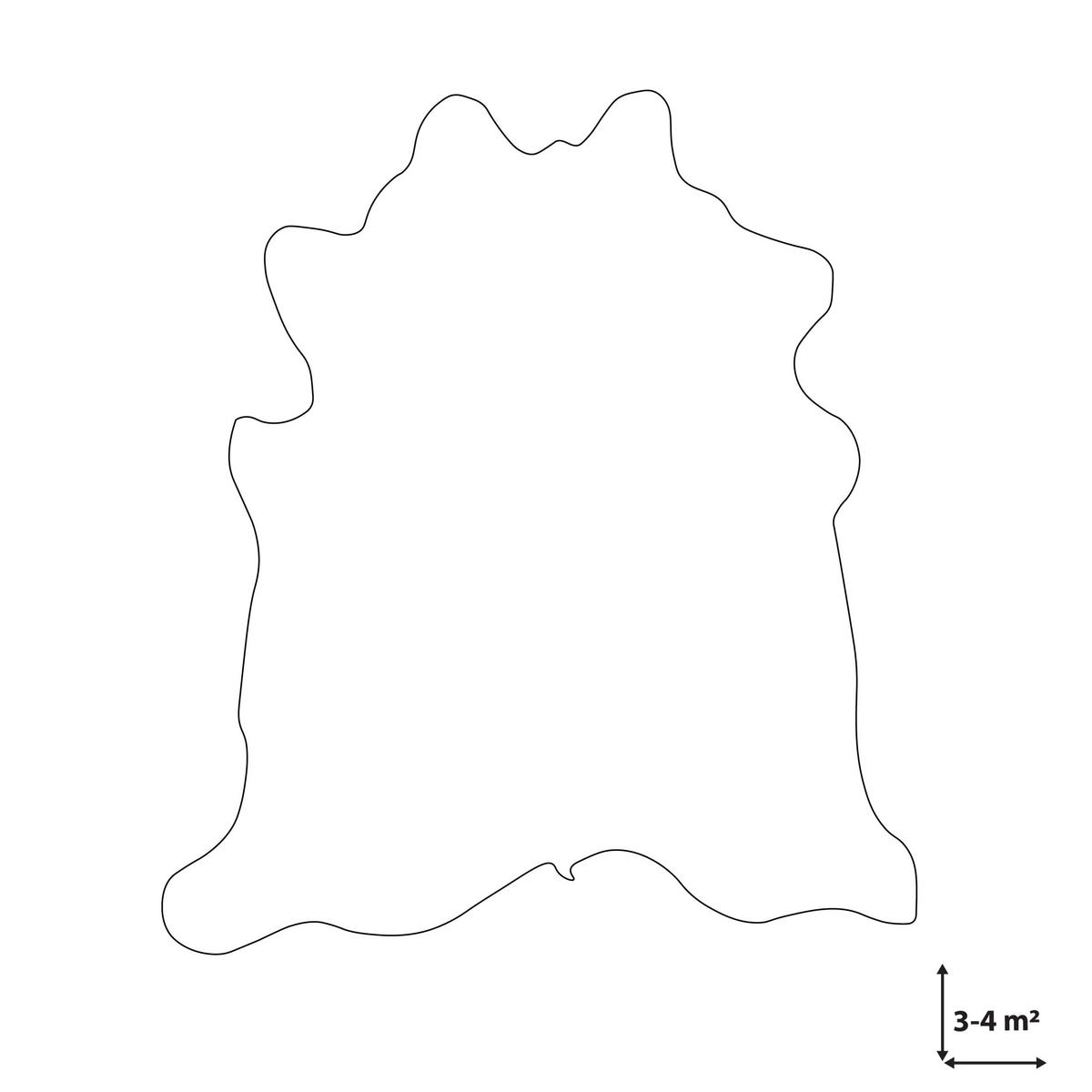 KUHFELL-TEPPICH Nasqu 300/400 cm - Hellbraun, Leder (190/210cm) - Beliani