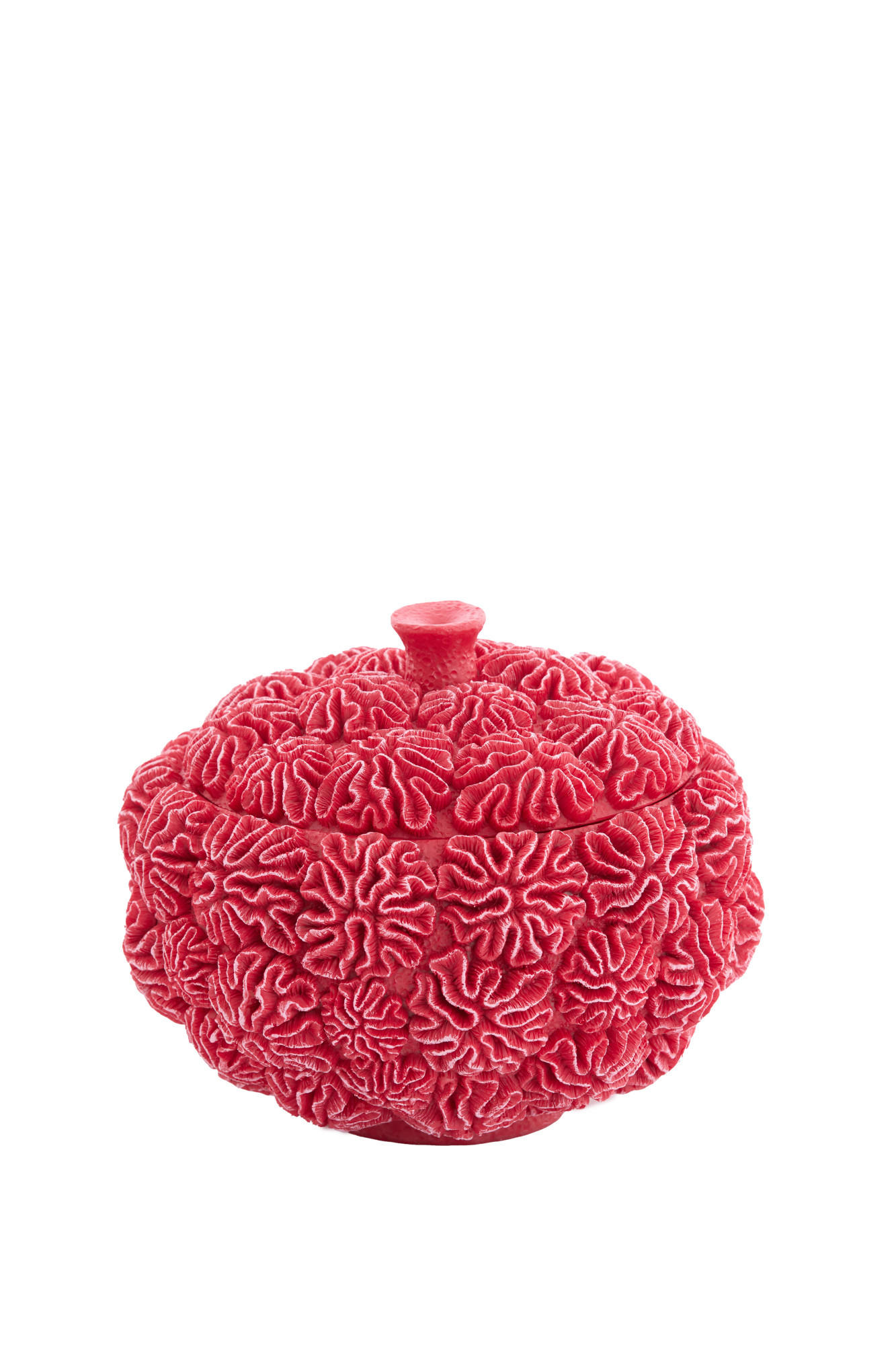 DEKO-DOSE Coral Rot Ø20/15,5 cm - Rot, Kunststoff (20/15.5/20cm) - Light & Living
