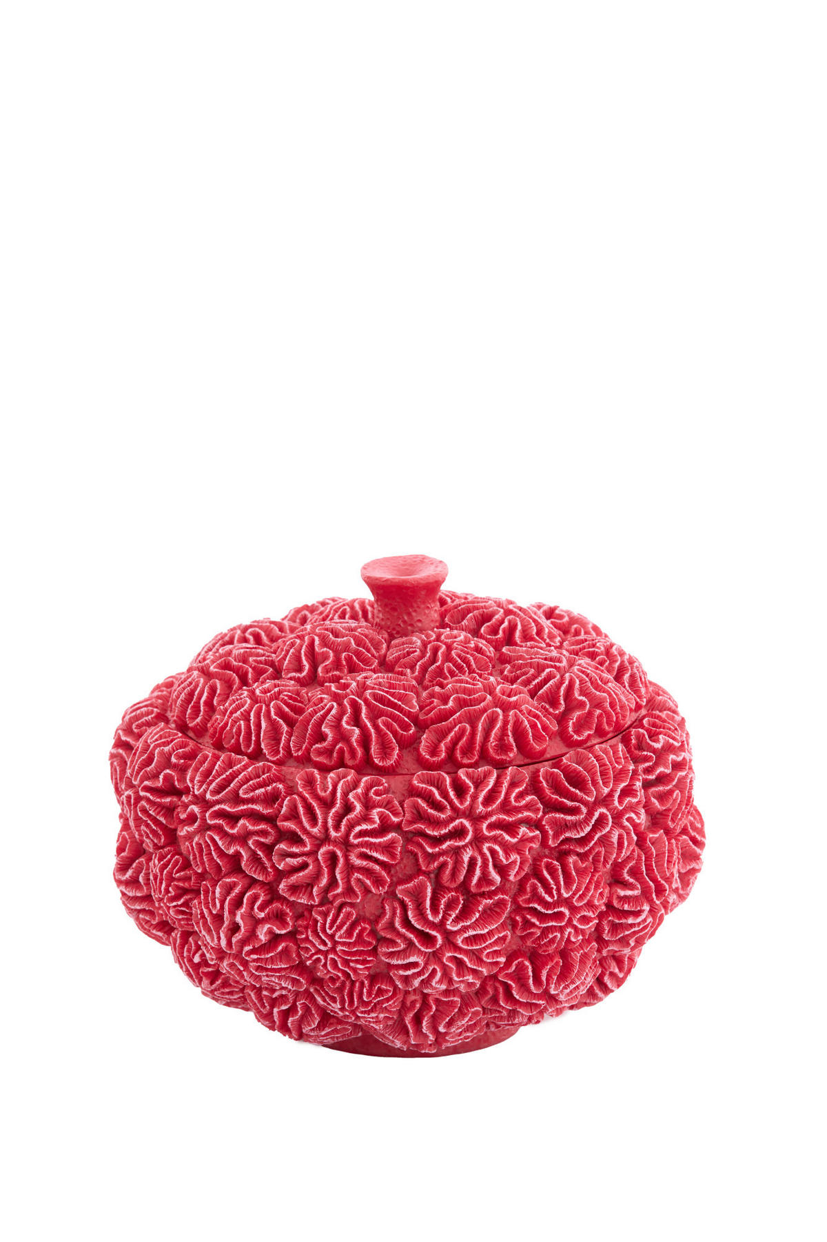 DEKO-DOSE Coral Rot Ø20/15,5 cm - Rot, Kunststoff (20/15.5/20cm) - Light & Living
